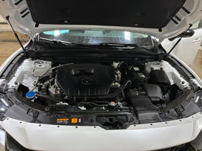 2025 Mazda Mazda CX-50 2.5 S Premium Package